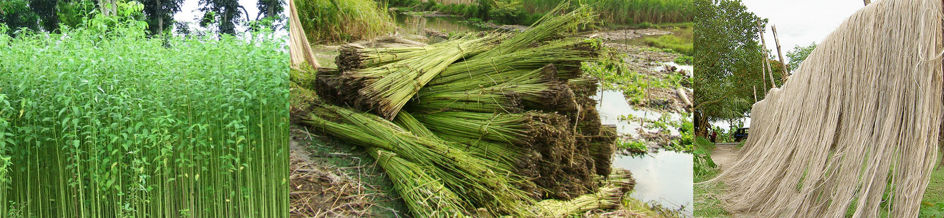 eco-friendly jute bag